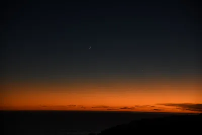 DSC_2566 (Large).JPG